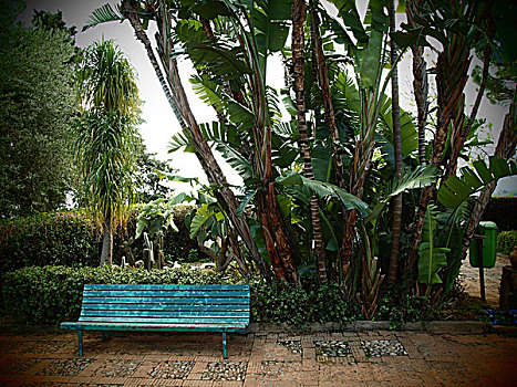 长椅,植物园