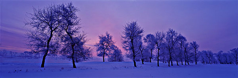 东北雪景图片