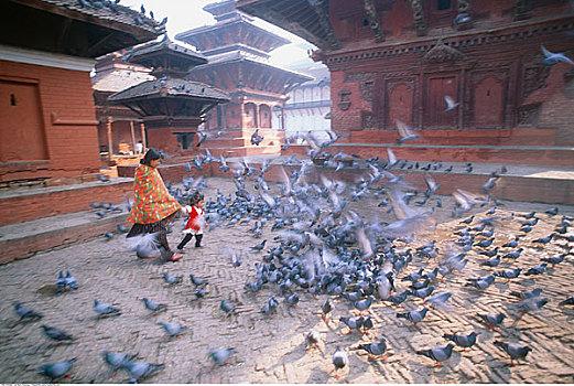 人,走,院落,满,鸽子,加德满都,尼泊尔