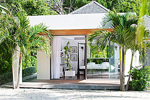 风景,卧室,现代,海滨别墅,围绕,棕榈树