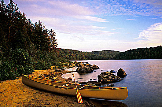 独木舟,坐,海岸线,营地,湖,阿尔冈金省立公园,安大略省,加拿大