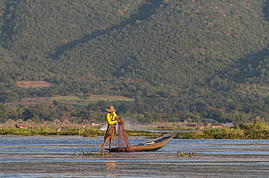 传统,缅甸,渔民,渔网,茵莱湖,著名,独特,一个,划船,风格,掸邦