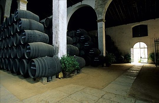 酒窖,酒栈,安达卢西亚,省,西班牙