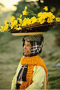 成年,女人,篮子,花,顶着,户外,乡村,缅甸