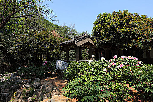 南京古林公园