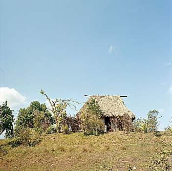 茅草屋顶,斐济,房子