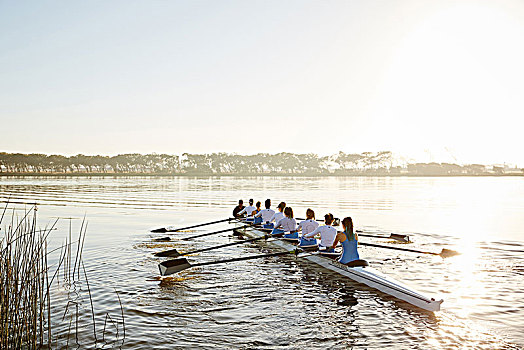 女性,划船,团队,短桨,晴朗,湖
