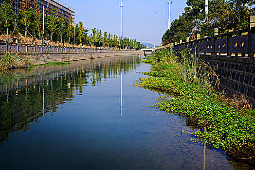 鄞州,东吴镇,东新河,水环境治理,河道,绿化,护坡,五水共治