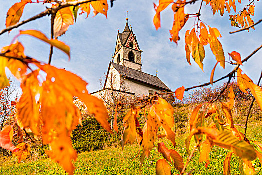 教堂,秋景,樱桃树,叶子,别墅,特兰迪诺,意大利