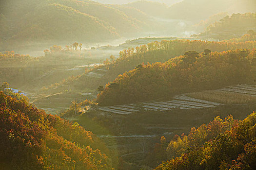 秦皇岛,长城,正冠岭,建筑,遗址,古建筑,军事,防御体系,城墙,坚固,战争,历史,文化