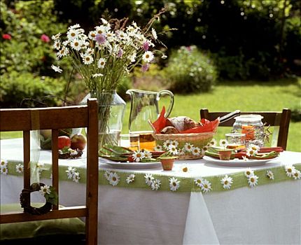 桌子,装饰,雏菊,花园