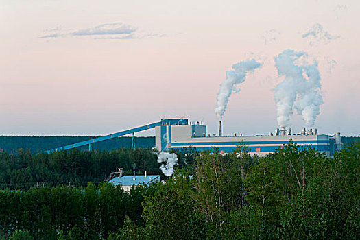 烟,出现,烟囱,纸浆厂,北方,艾伯塔省,加拿大