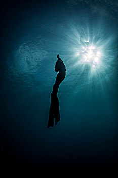 水下视角,剪影,女性,自由,潜水,移动,向上,太阳光线,新普罗维登斯,巴哈马