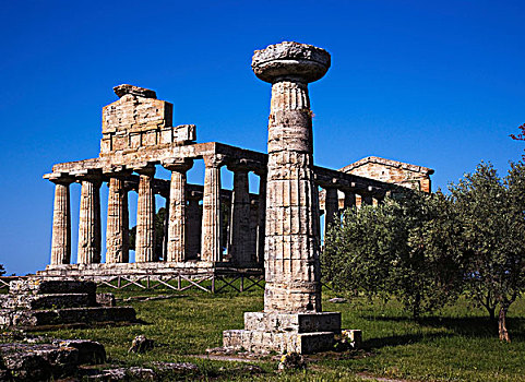 雅典娜神庙,世界遗产,帕埃斯图姆,坎帕尼亚区,意大利,欧洲