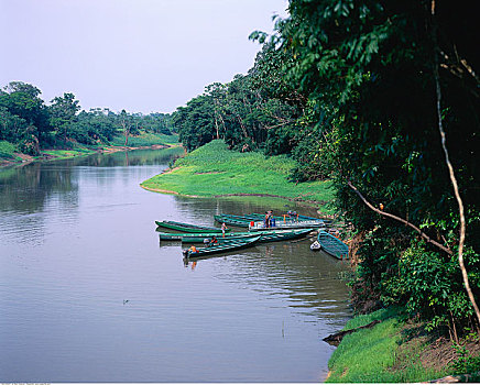 亚马逊河,支流,巴西