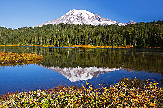 雷尼尔山,反射,山,国家公园,华盛顿,美国