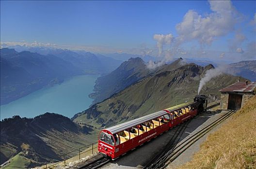 蒸汽机车,风景,湖,因特拉肯,伯恩高地,瑞士