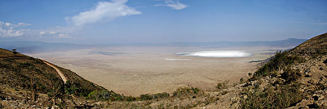 全景,风景,干燥,季节,恩戈罗恩戈罗火山口,坦桑尼亚,非洲