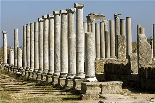柱子,发掘地,土耳其