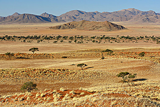 荒芜,草地,纳米比沙漠,公园,靠近,塞斯瑞姆,区域,纳米比亚,非洲