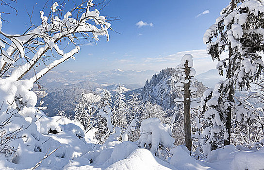 冬季风景,东阿尔卑斯山区,贝希特斯加登地区,德国