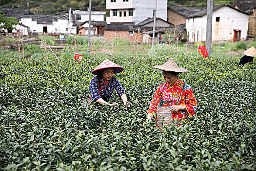 中国概念