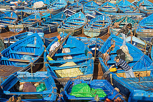 蓝色,船,捕鱼,港口,苏维拉,摩洛哥,非洲