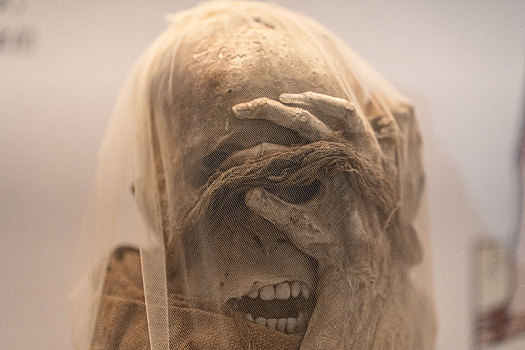 秘鲁莱梅班巴博物馆印加帝国局部包裹的成人木乃伊