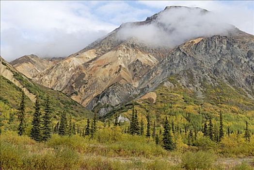 彩色,山峦,托奇那山地区,阿拉斯加,美国