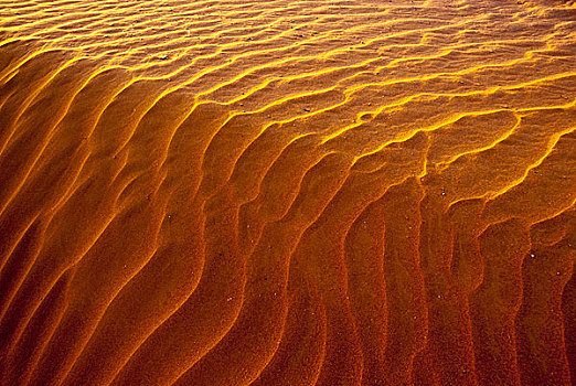 波纹状,沙丘,摩洛哥,非洲