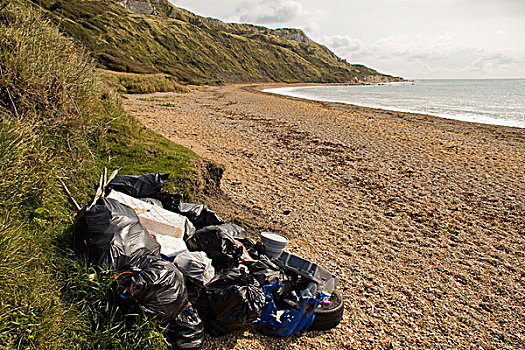 袋,收集,垃圾,等待,海滩,多西特,英格兰,英国,欧洲