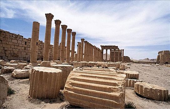 柱子,庙宇,遗址,帕尔迈拉,叙利亚,中东,东方,亚洲,世界遗产