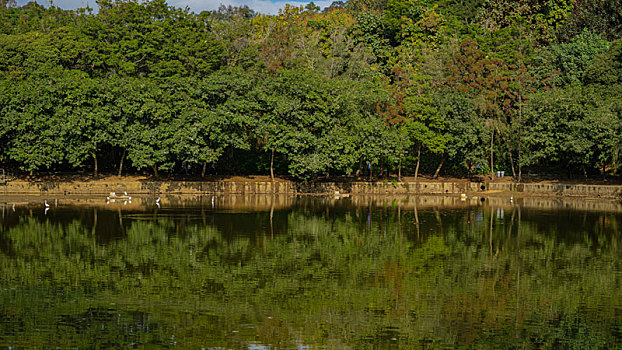 莲花山公园的湖水