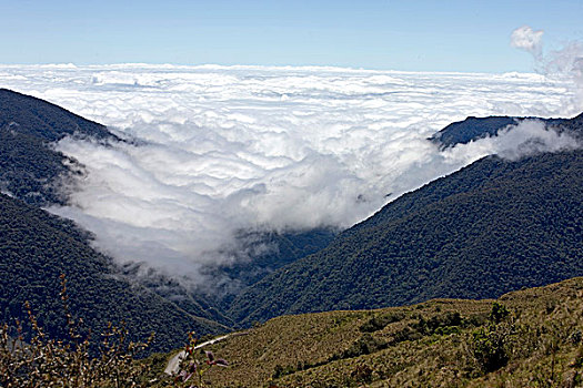 玛努国家公园,云,秘鲁