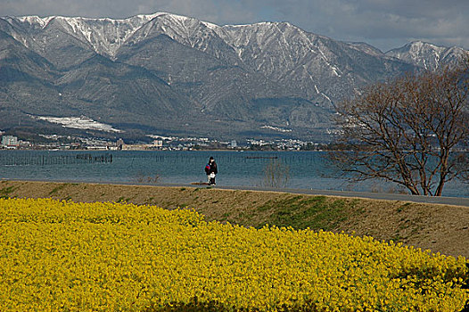 日本,滋贺,琵琶湖,风景