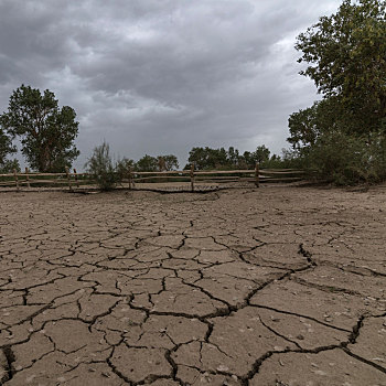 新疆库尔勒干涸的塔里木河床