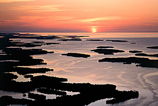 全景,沼泽,日出,大沼泽地国家公园,佛罗里达,美国
