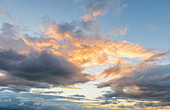云,日落,丰盛湾,区域,北岛,新西兰,大洋洲