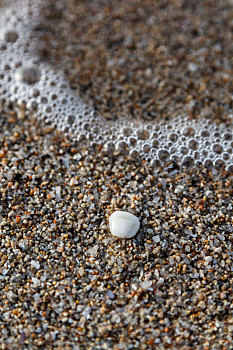 沙子,苍白,鹅卵石,石头,海滩,特写