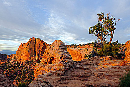 石头,早晨,亮光,峡谷地国家公园,犹他,美国