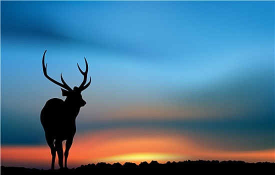 鹿,日出