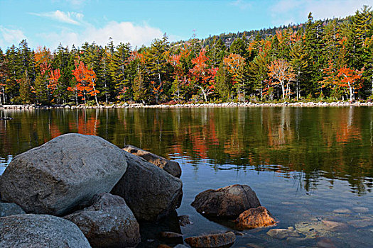 秋天,水塘,阿卡迪亚国家公园,缅因,美国