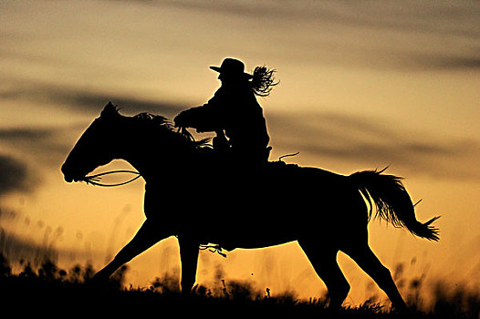 女牛仔,骑,上方,草原,日落时的半身侧面影,萨斯喀彻温,加拿大
