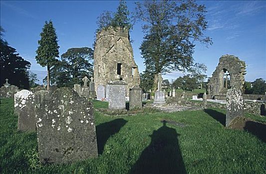 墓碑,墓地,教堂,基尔肯尼郡,爱尔兰
