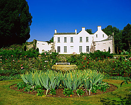 房子,爱尔兰,17世纪,玫瑰园,国家,信任,地产