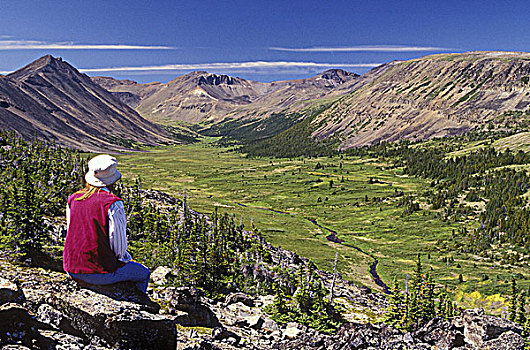 远足者,蓝色,峡谷,公园,不列颠哥伦比亚省,加拿大