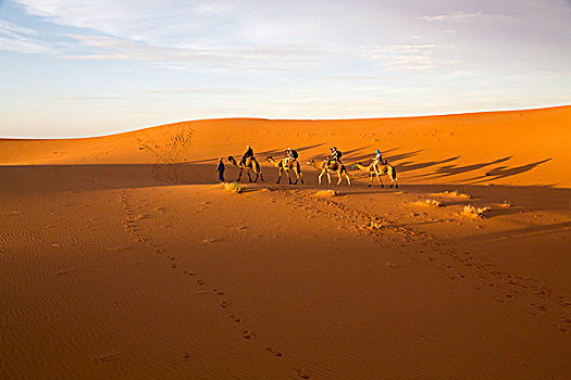 非洲,摩洛哥,塔菲拉勒特,梅如卡,却比沙丘,黄昏,影子,单峰骆驼,骆驼,驼队,柏柏尔人,男人,传统,蓝色,衣服