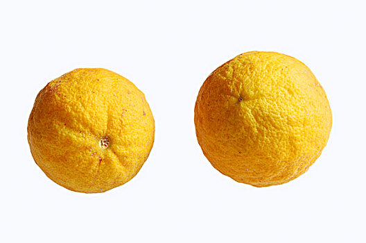 橘子,水果