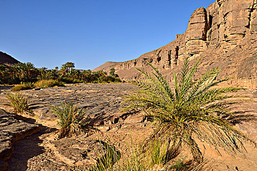 峡谷,阿杰尔高原,国家公园,世界遗产,撒哈拉沙漠,阿尔及利亚,非洲