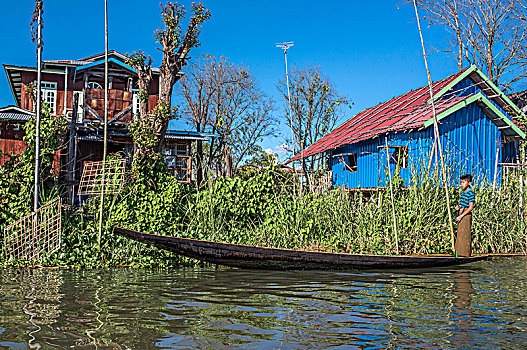 缅甸,掸邦,区域,茵莱湖,独木舟,房子,中间,漂浮,花园